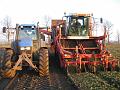 Leon Vissers Vissers aardbeiplanten BV America (24)